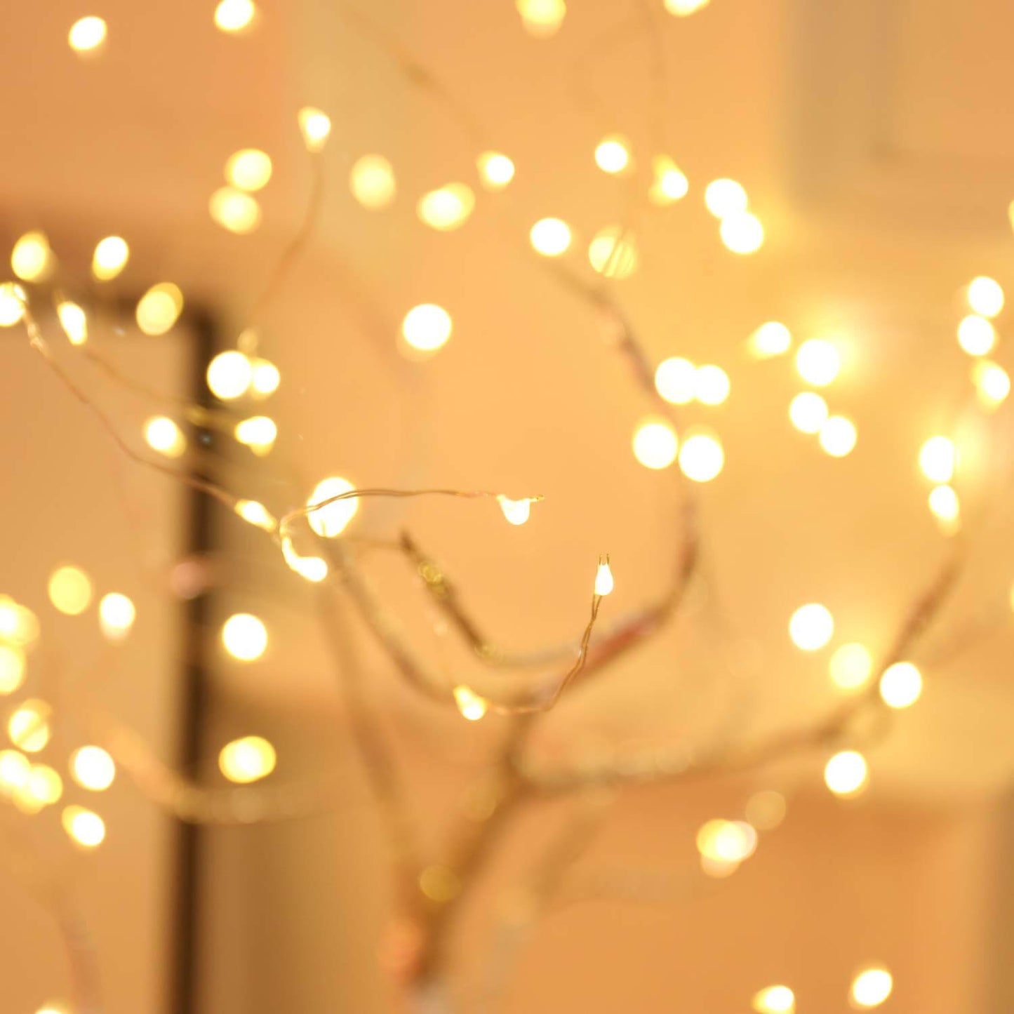 Jedhub Fairy Tree